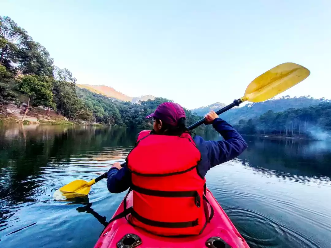 Photo of Road Trip to Binsar 