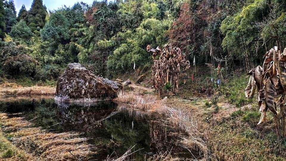 Rangaroon Chatakpur Trip Via Kurseong Darjeeling Tripoto