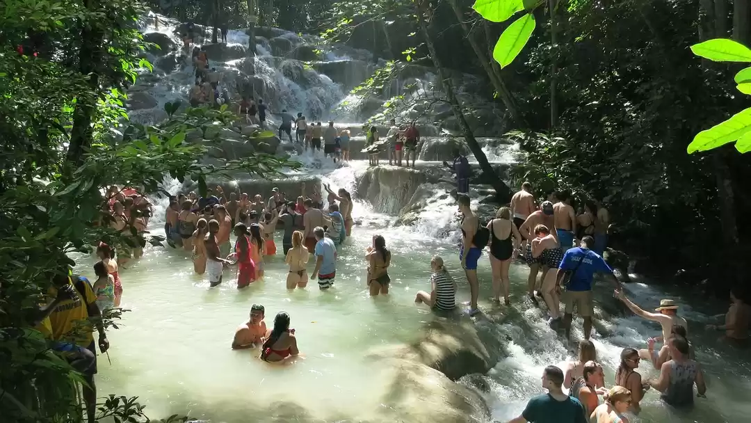 Photo of Dunn S River Falls I