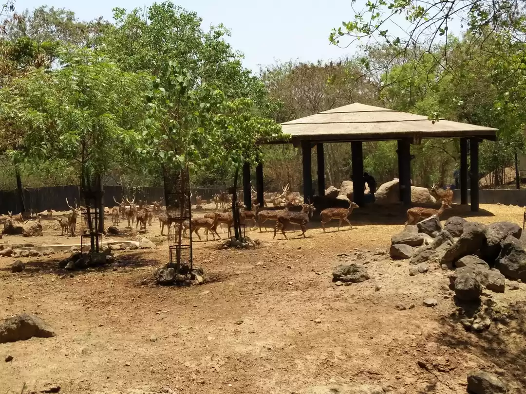 Photo of Rajiv Gandhi Zoologi