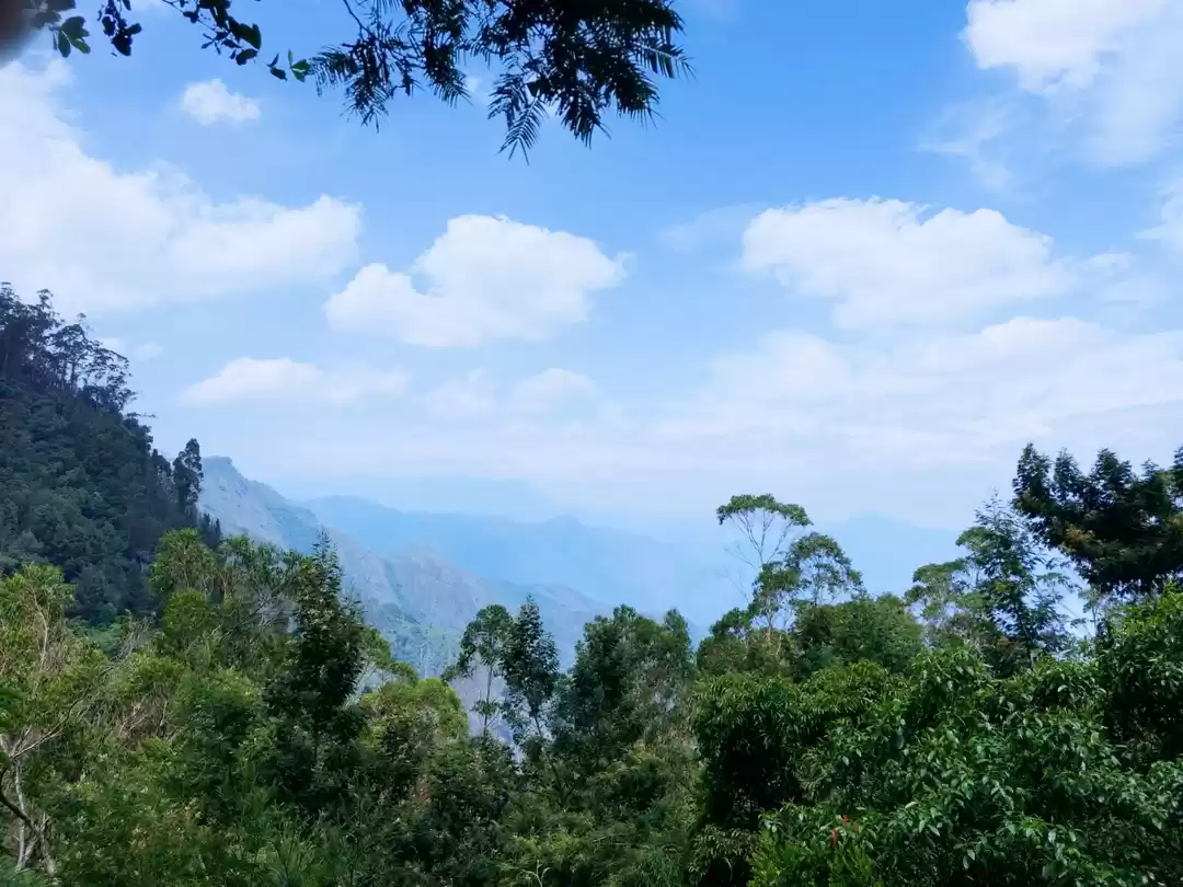 Photo of Kodai diaries #memor