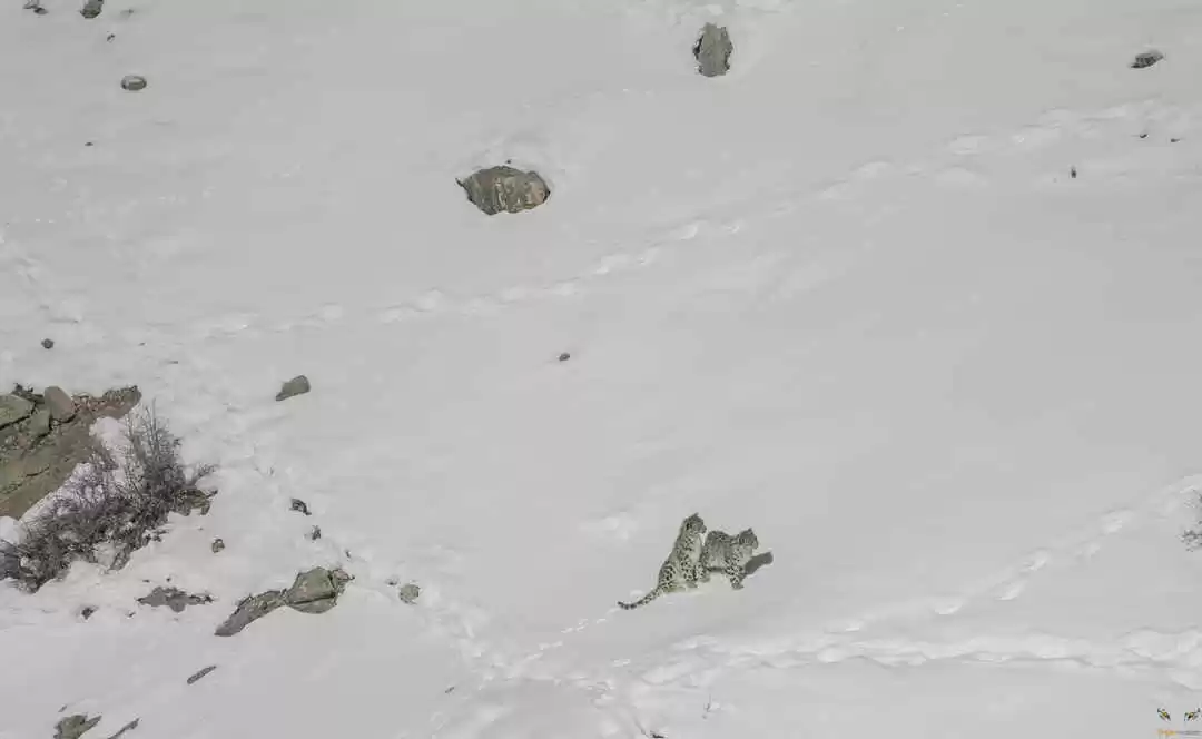 Photo of Meeting the Grey Gho