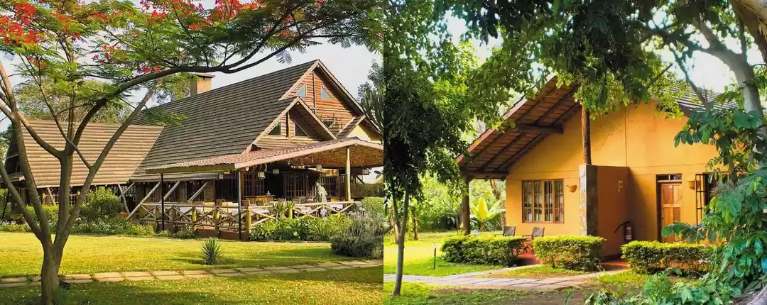 Photo of Amazing Trip