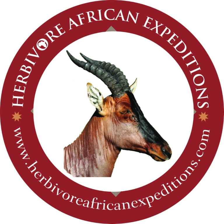 Photo of HERBIVORE AFRICAN EXPEDITIONS