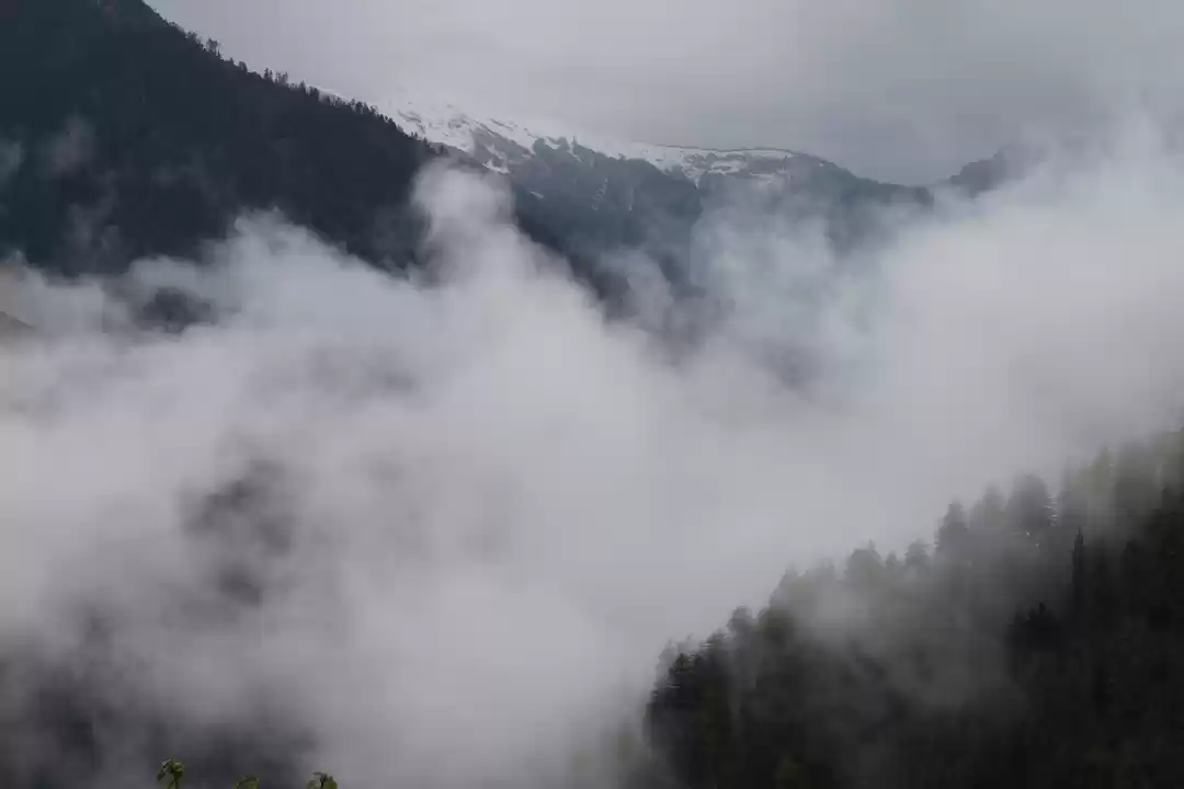 Photo of Tandi....a Raw Signa