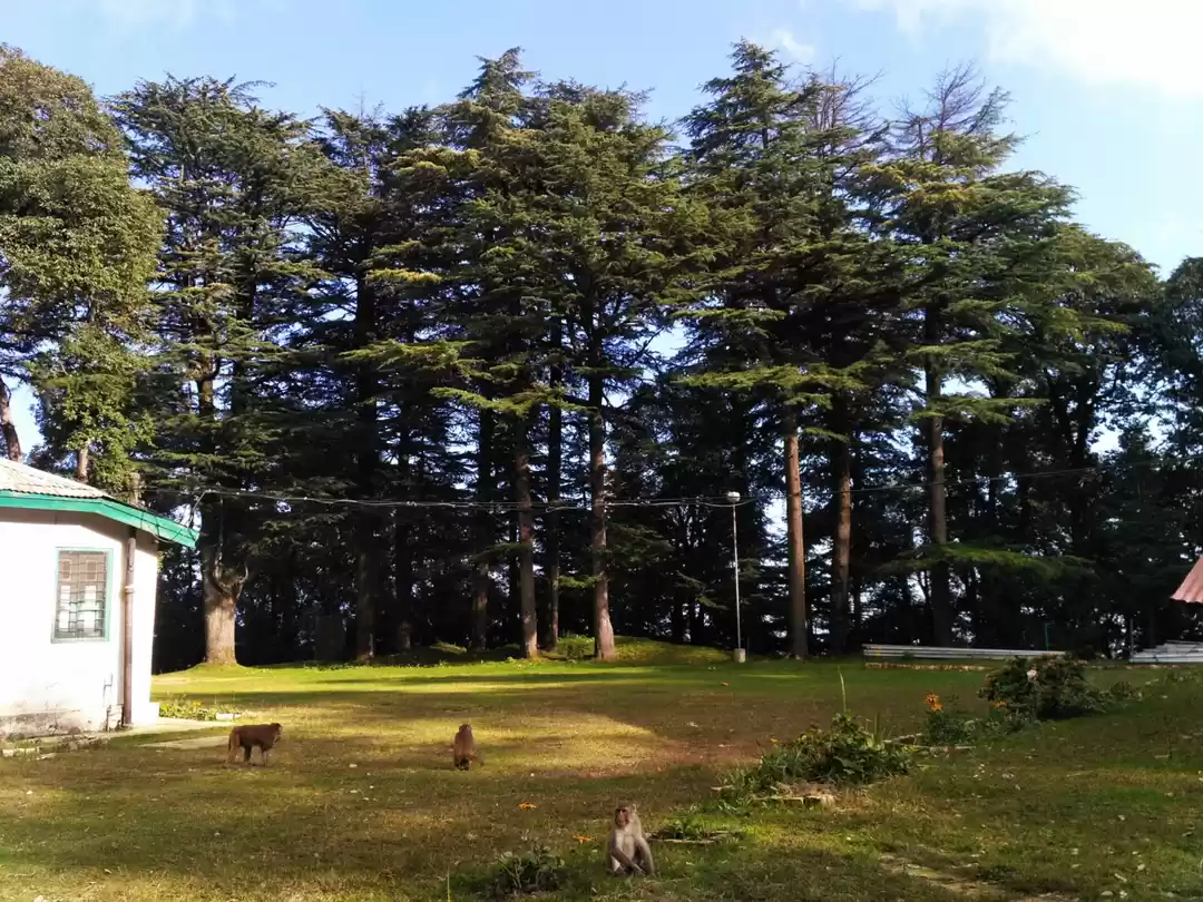 Photo of Cold, Green and Wond