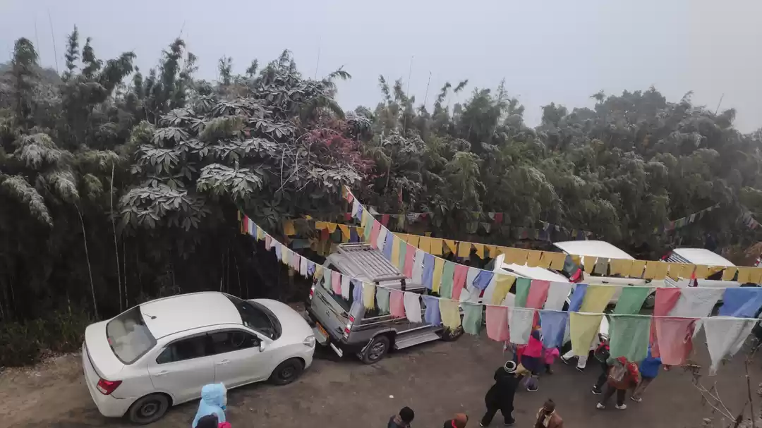 Photo of Amazing Darjeeling T