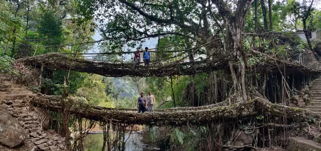 Photo of A tale behind magnif