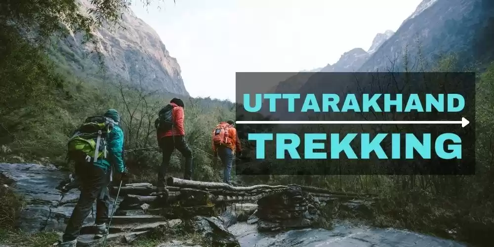 Photo of Best Trekking Place