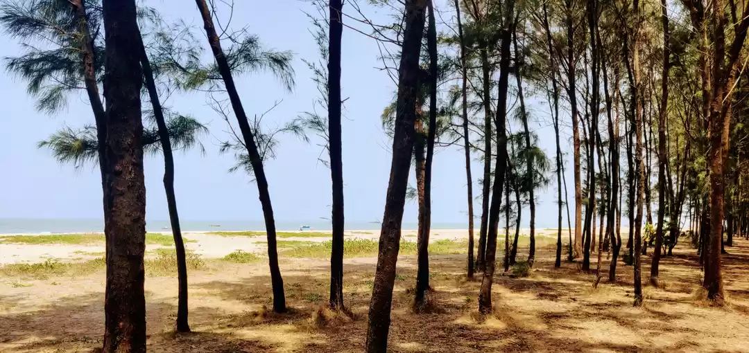 Photo of The Unplanned Road T