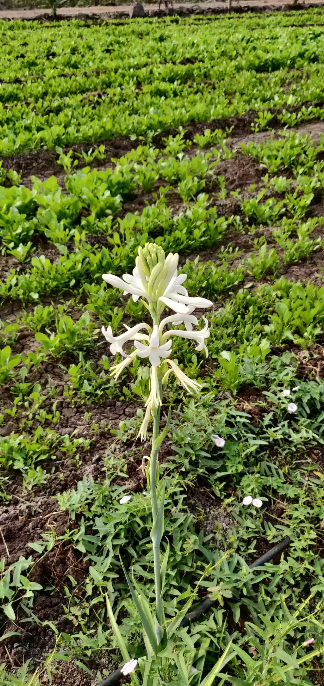 Photo of Home Away From Home