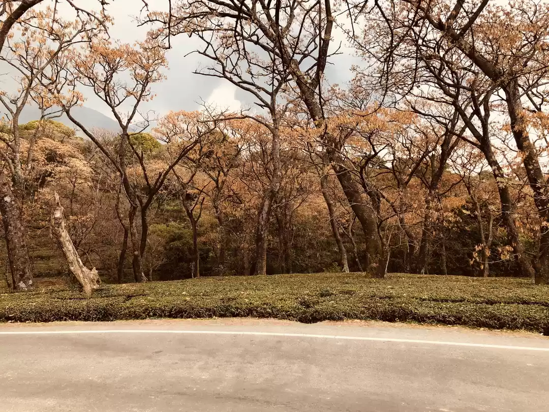 Photo of Dharamshala-McLeod G