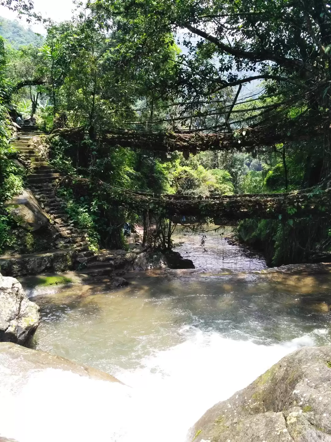 Photo of Treasure Quest in Me