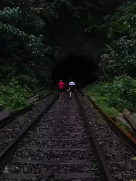 Photo of Dudhsagar : That 200