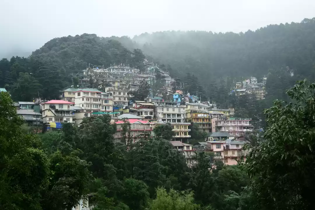 Photo of Triund Trek