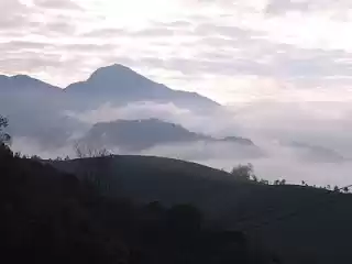 Photo of Trip to Munnar