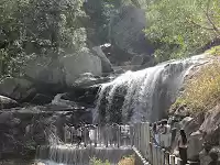 Photo of Trip around Pollachi