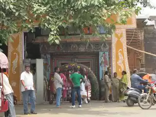 Photo of Orissa Golden Triang