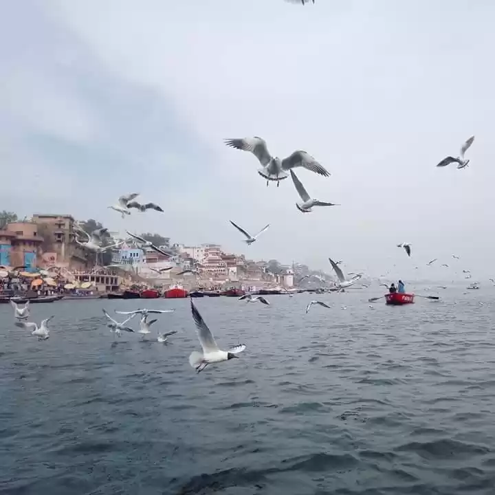 Photo of अनचाहा सफर