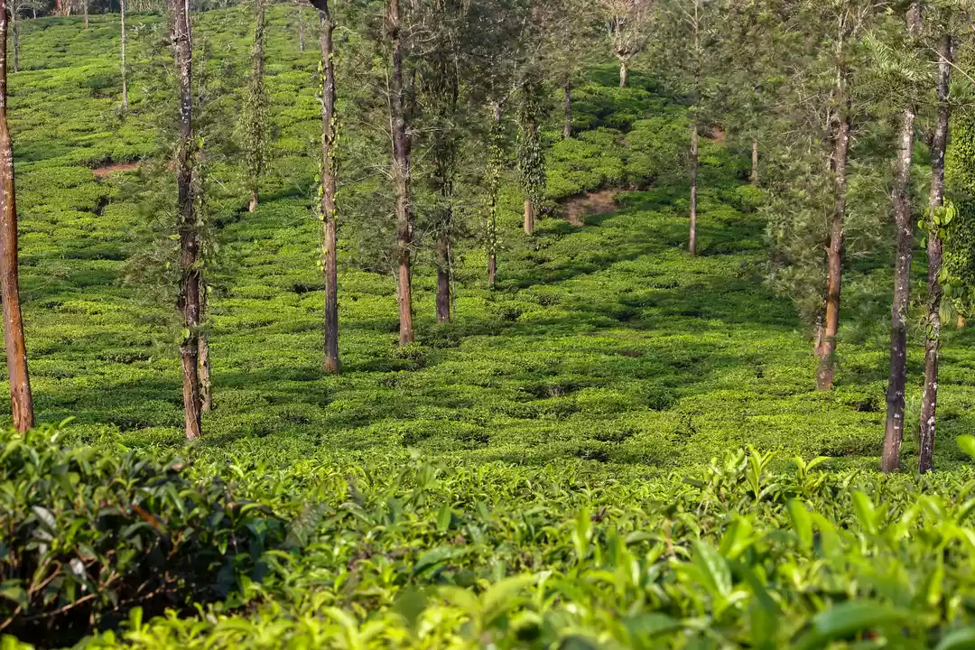 Photo of Gods own country for