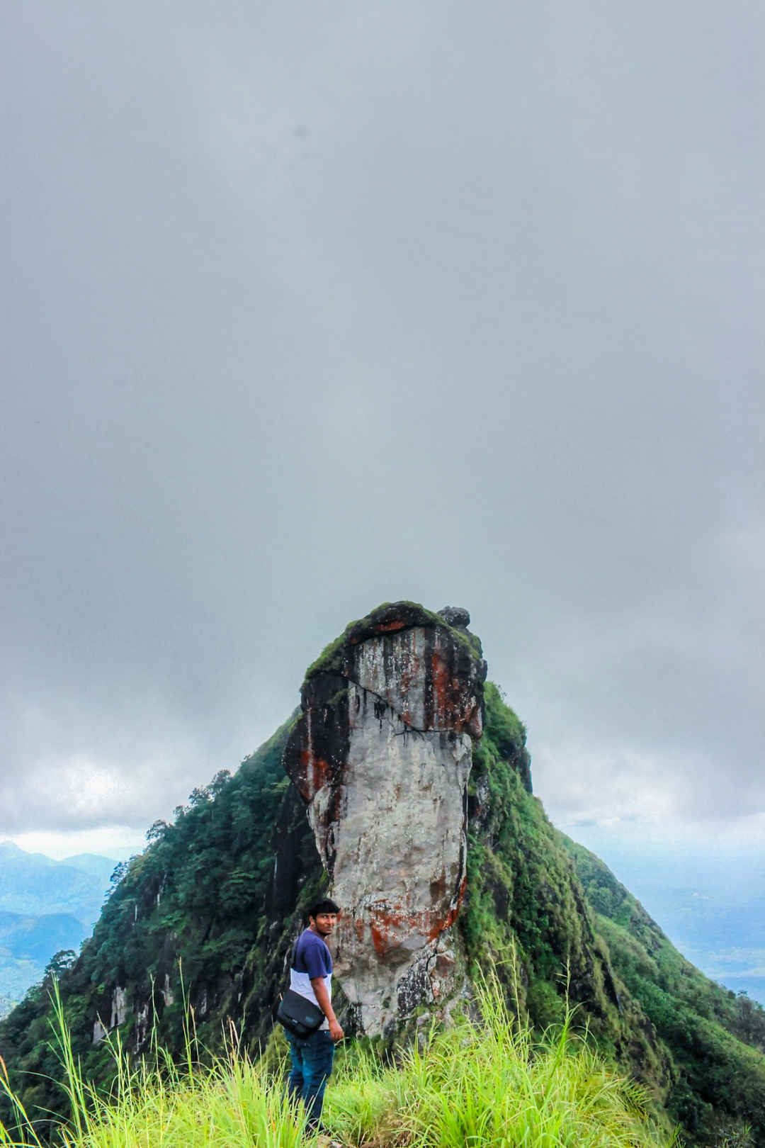 In Search Of The Mysterious Neelakoduveli Tripoto Neelakoduveli ന ലക ക ട വ ല മ ത തശ ശ കഥകള ല അത ഭ ത സസ യ. the mysterious neelakoduveli