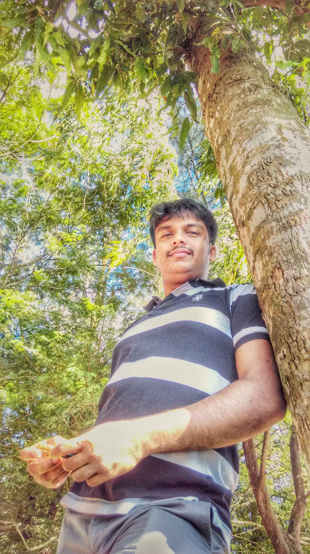 Photo of Lush green landscape