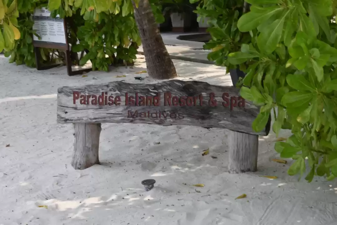 Photo of Make time for Maldiv