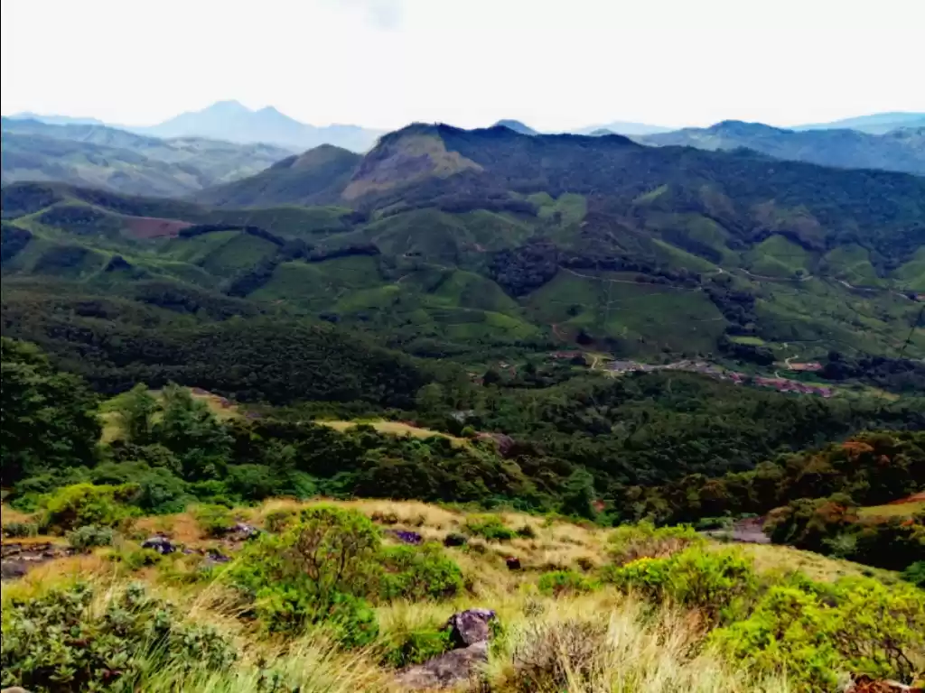 Photo of मुन्नार : केरल का सब