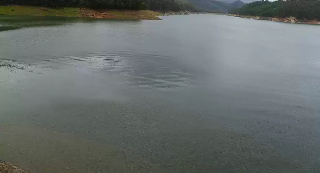 Photo of पेरियार नेशनल पार्क