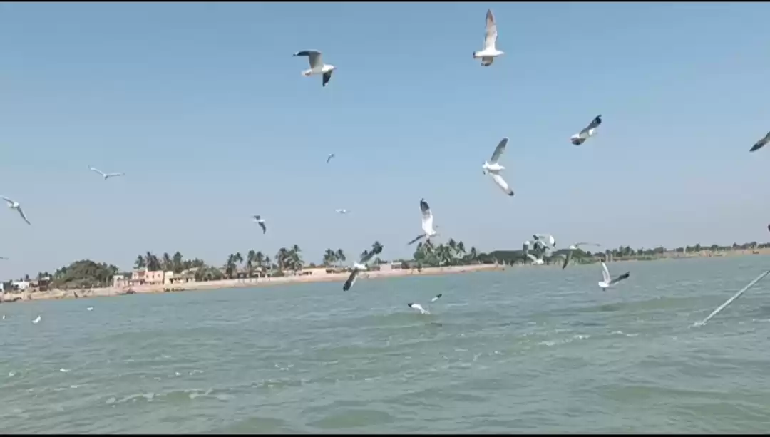 Photo of एशिया की सबसे बड़ी ख