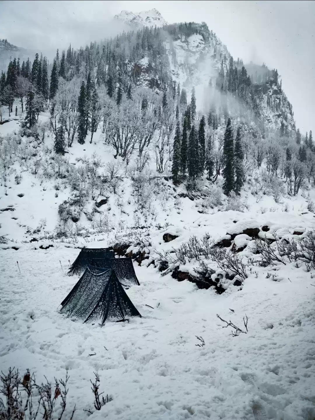 Photo of An ambitious campsit