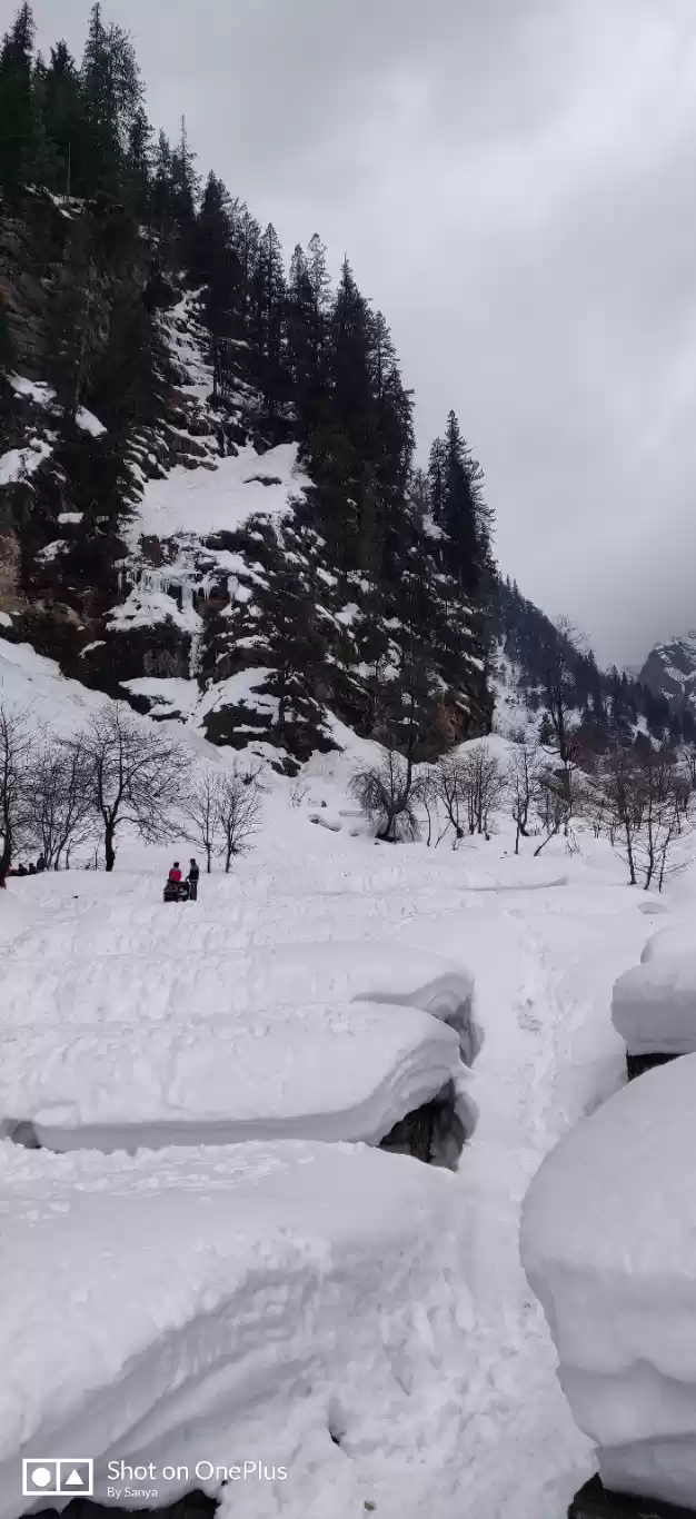 Photo of Magestic Manali