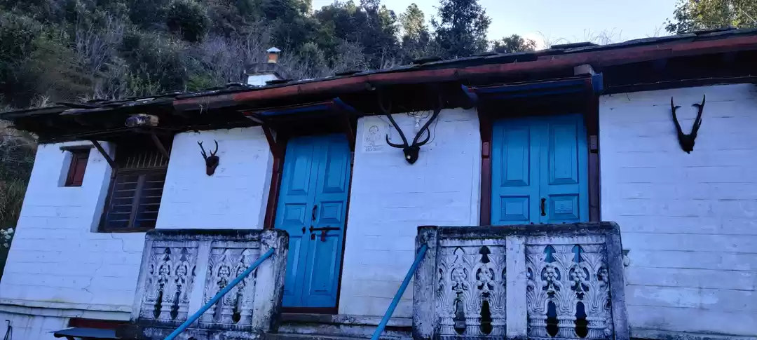 Photo of Organic Living- In t