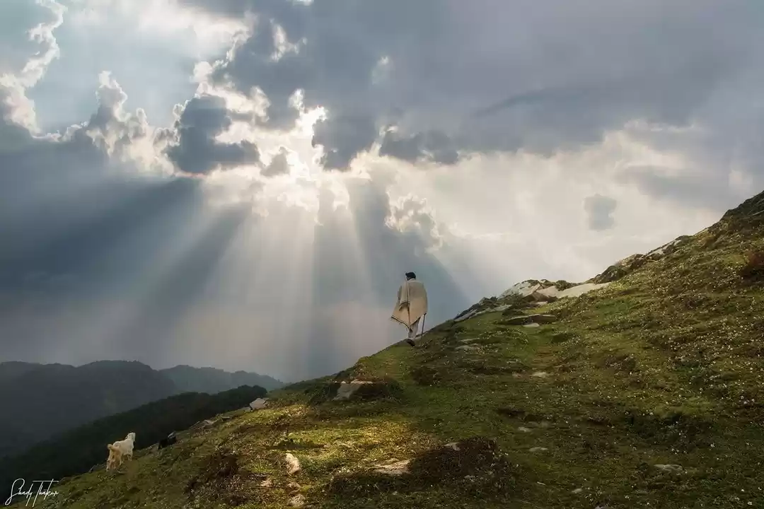 Photo of Gaddi ( Shepherd ) 