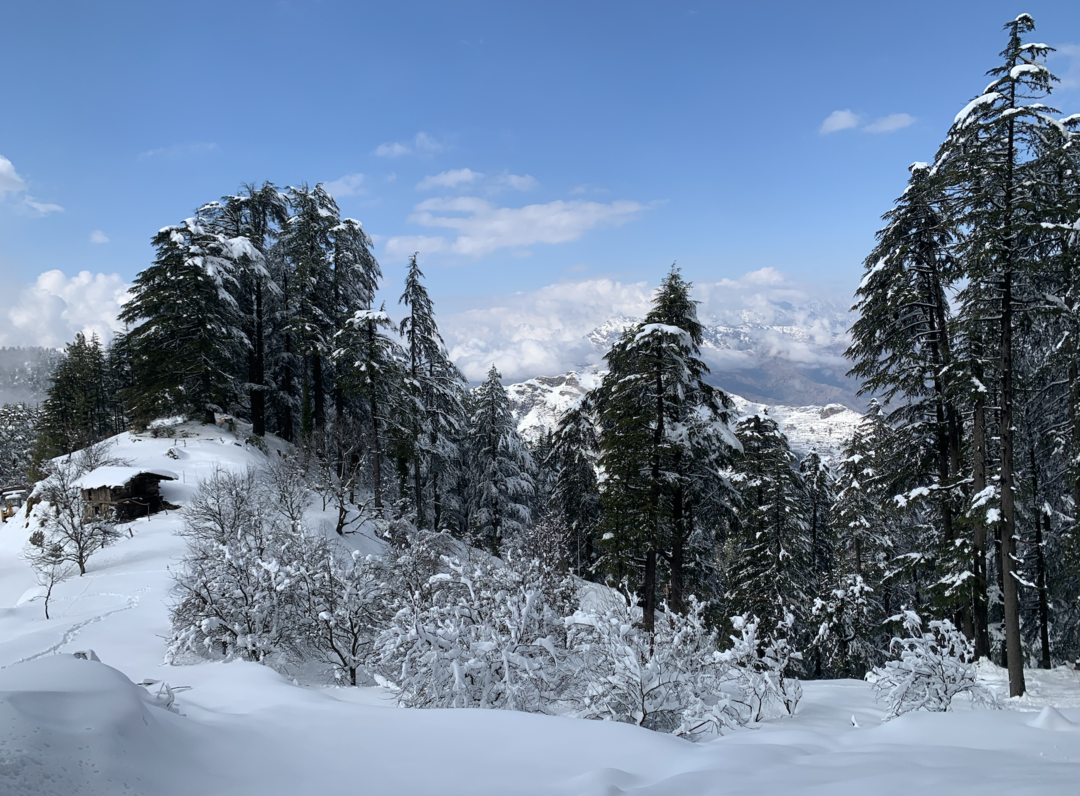Snow Adventure in Chakrata - Tripoto