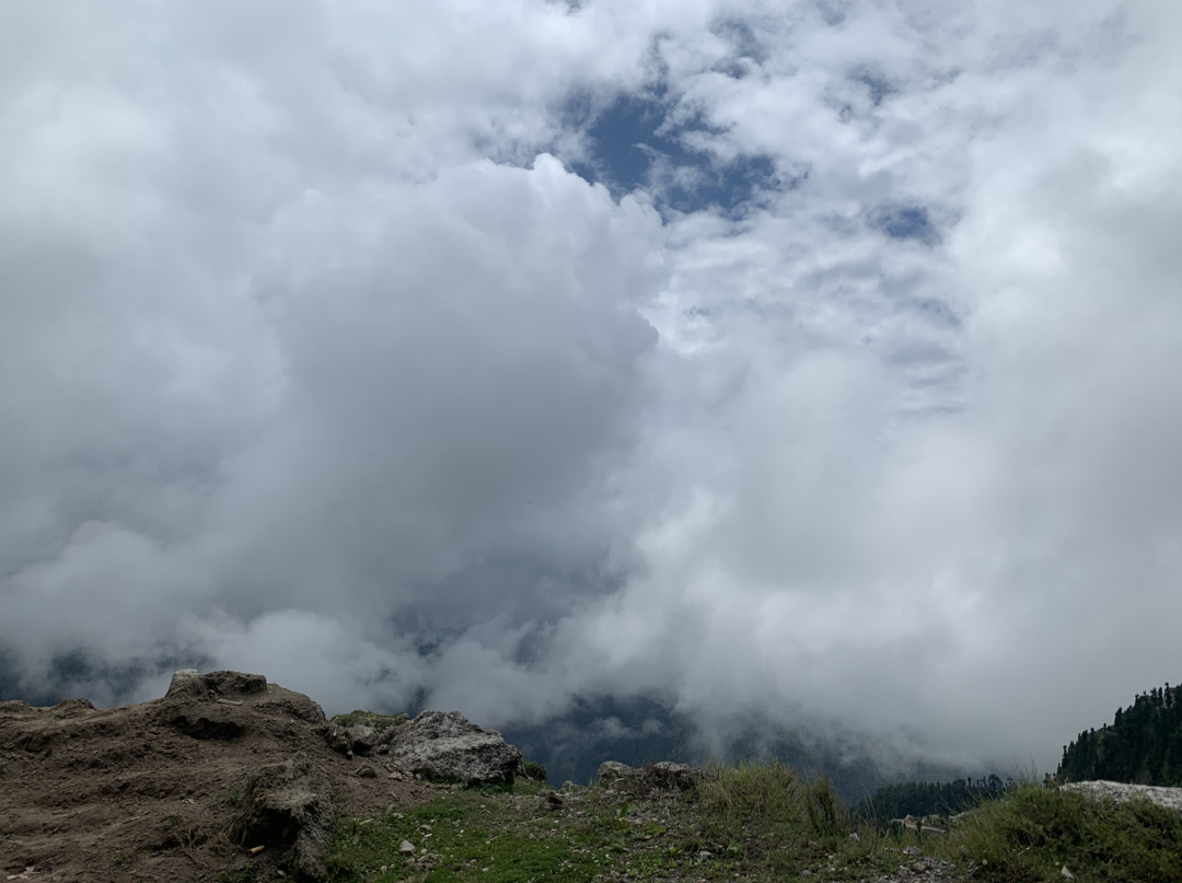 Photo of 2 Dogs, 2 Girls, 2 D