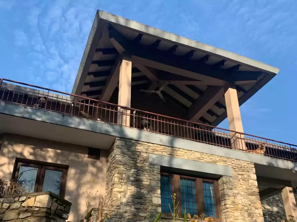 Photo of Girls, for your next