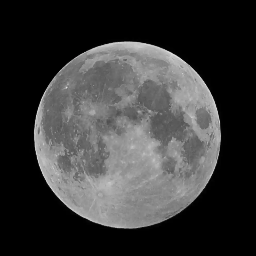 Photo of To the moon and neve