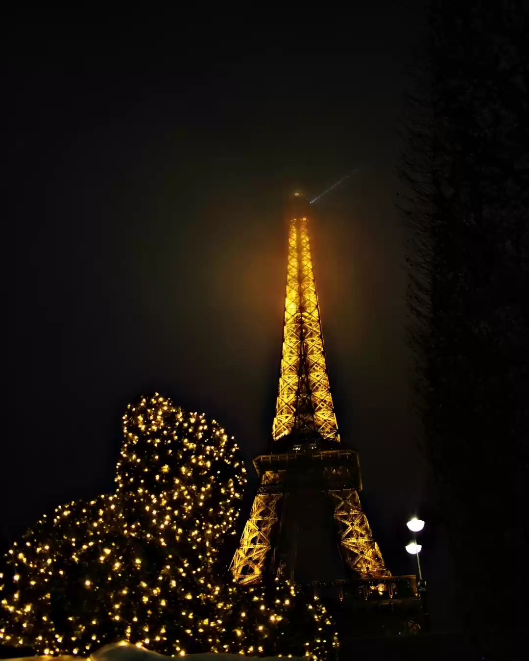 Photo of Eiffel Tower at Nigh