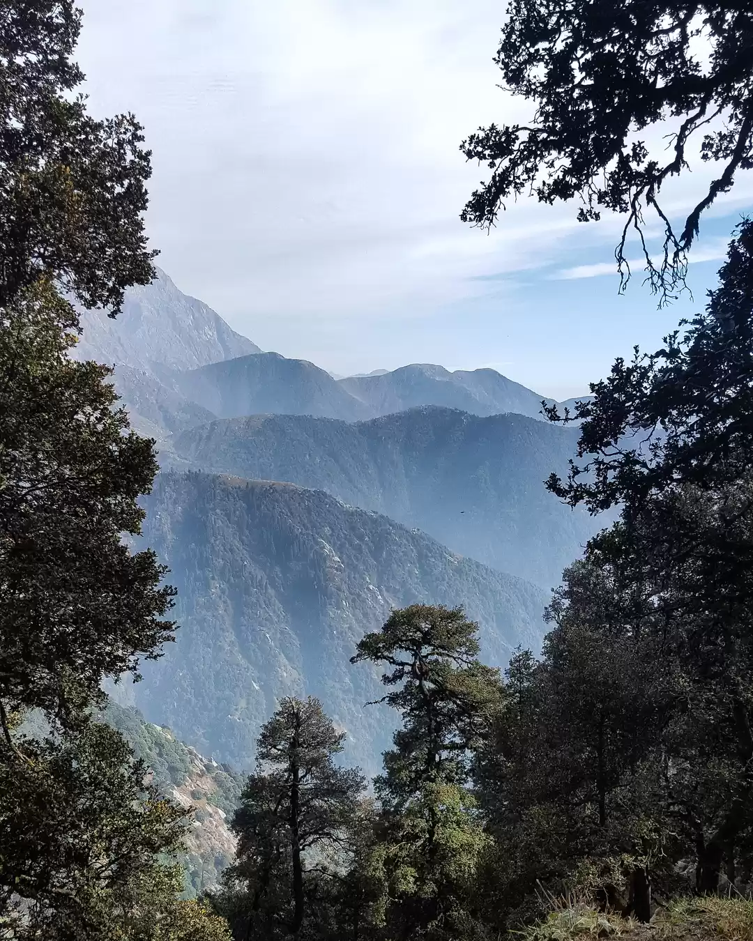 Photo of Beyond Triund trek