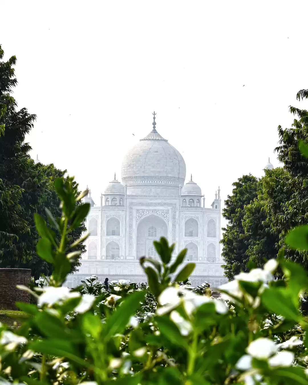 Photo of Best of Taj