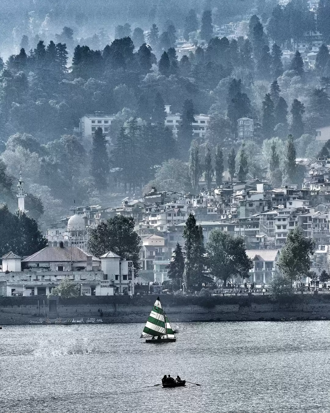 Photo of Jungle camp stay in 