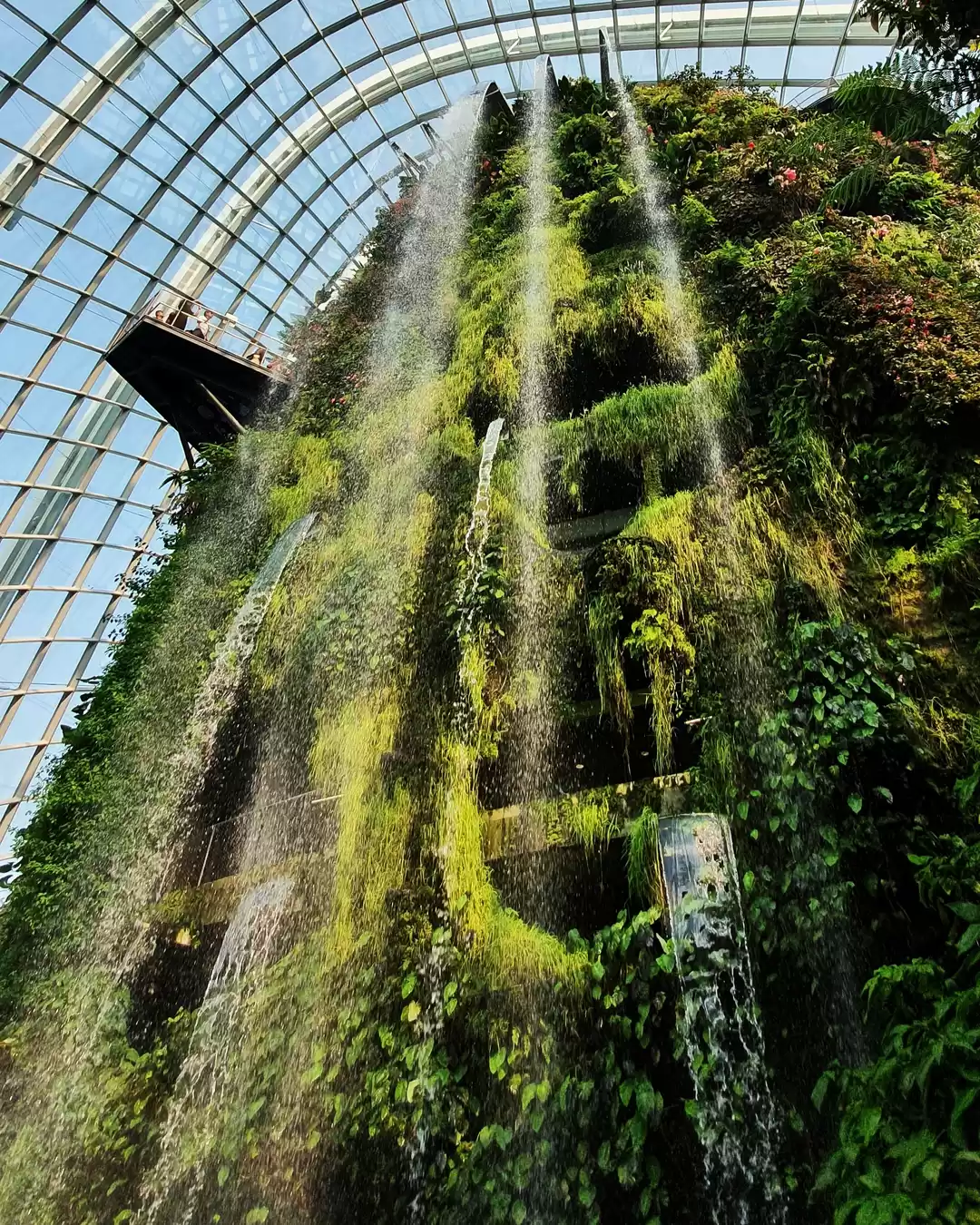Photo of Visiting Gardens by 