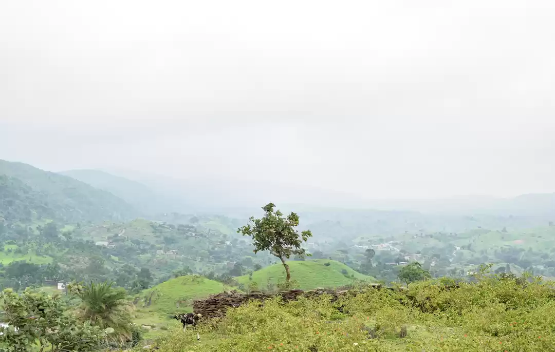 Photo of Visiting Rayta Hills