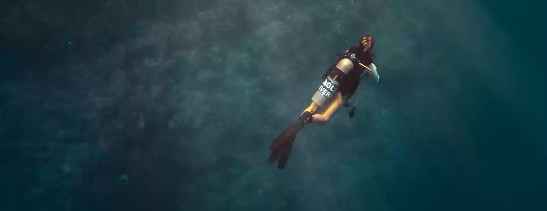 Photo of How to become a cert