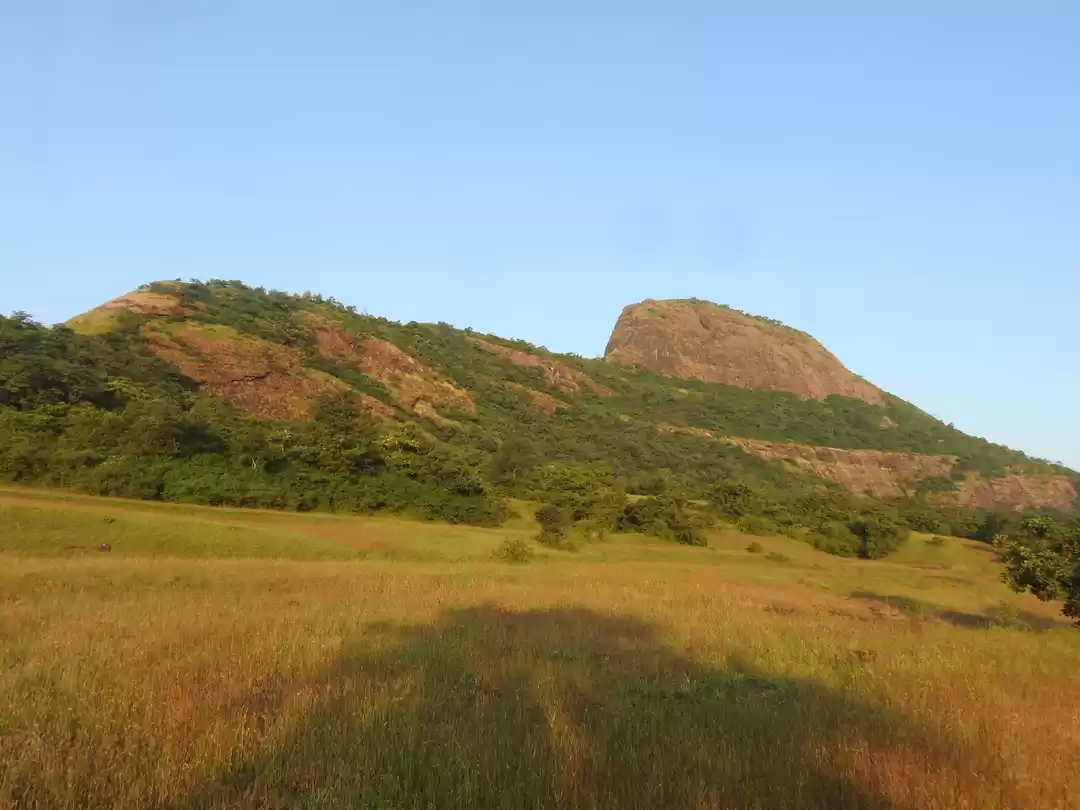 Photo of Unexplored Sindola F