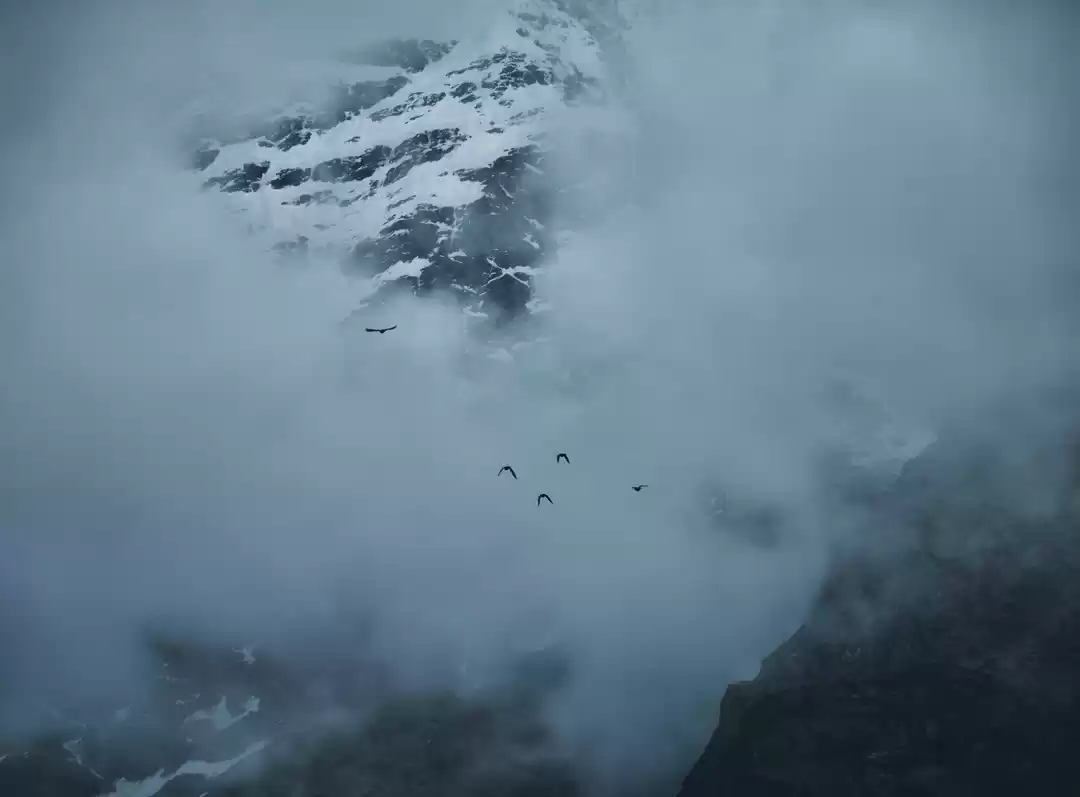 Photo of Window To The Nirvan