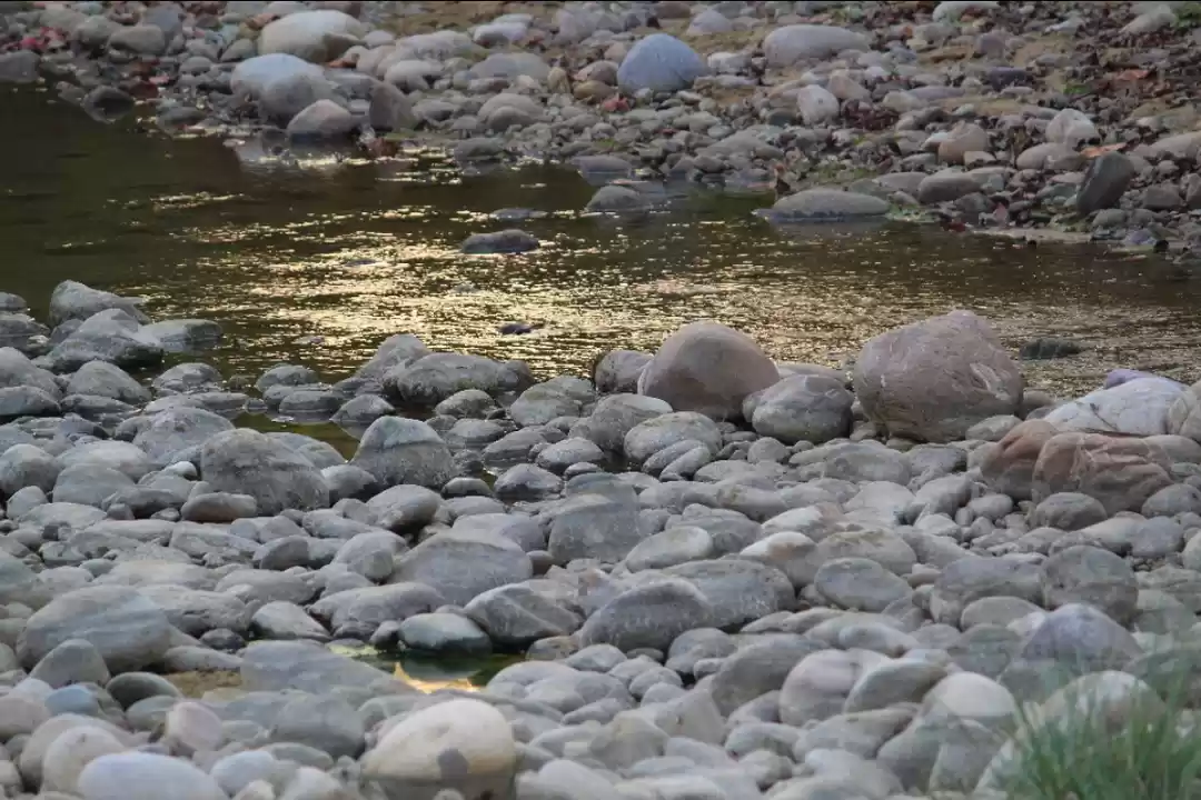 Photo of Flowing paths amidst
