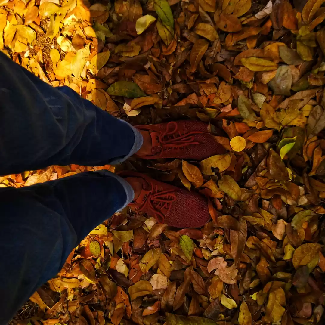 Photo of Post-COVID19 peace m