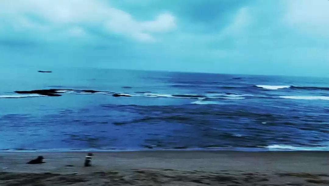 Photo of Goa - Land of free s